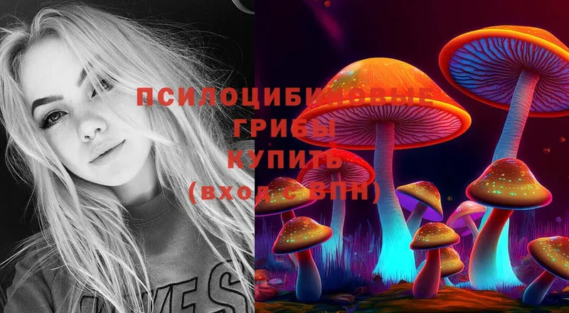 это как зайти  Реутов  Галлюциногенные грибы Psilocybe 